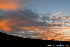 岳麓區(qū)網(wǎng)站建設企業(yè)如何選擇
